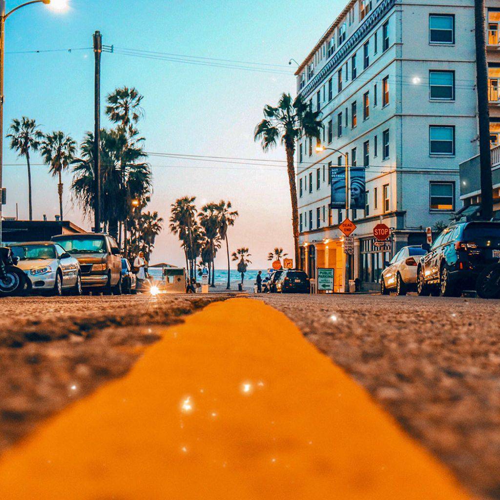 المدينة المنورة